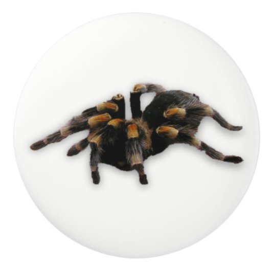 くもの引き セラミックノブ (正面)