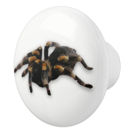 くもの引き セラミックノブ (右)