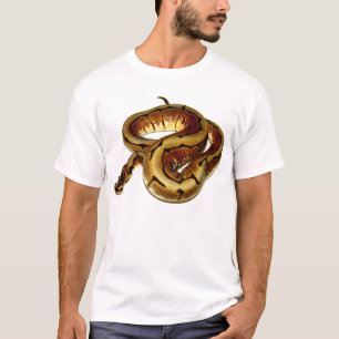 くもの球の大蛇 Tシャツ