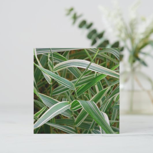 くもの草のかわいらしい緑および白くストライプのな植物 招待状 (スタンド正面)