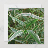 くもの草のかわいらしい緑および白くストライプのな植物 招待状 (正面)