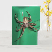 くも7704 -縦 カード (黄色い花)