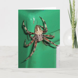 くも7704 -縦 カード