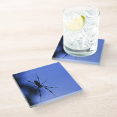 くも ガラスコースター (アングル)