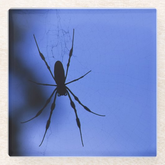 くも ガラスコースター (正面)