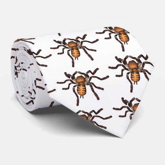 くも ネクタイ (ロール)