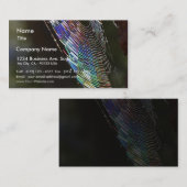 くも 名刺 (正面/裏面)