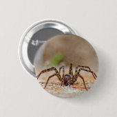 くもa 缶バッジ (正面&裏面)