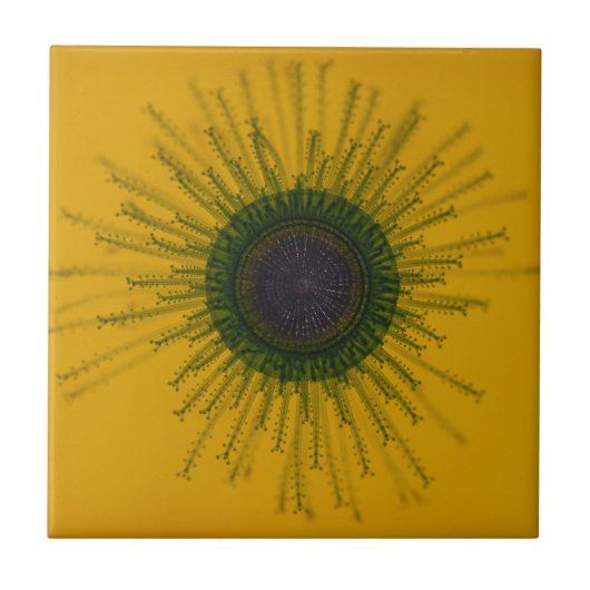 くらげのタイル タイル (正面)