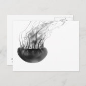 くらげの郵便はがき(白黒) ポストカード (正面/裏面)