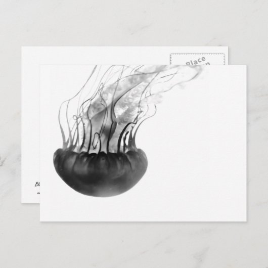 くらげの郵便はがき(白黒) ポストカード (正面/裏面)