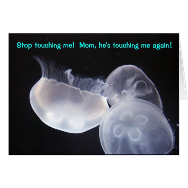 くらげのTouch (正面横)