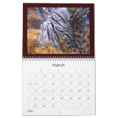 くらげカバーカレンダー カレンダー (3月 2026)