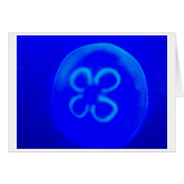 くらげ (正面横)