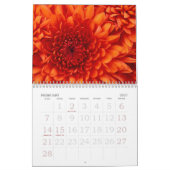 くらげ カレンダー (2月 2027)