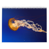 くらげ カレンダー (カバー)