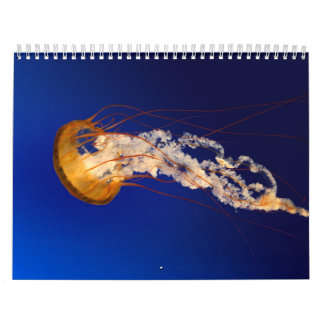 くらげ カレンダー