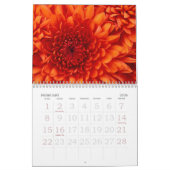 くらげ カレンダー (2月 2026)