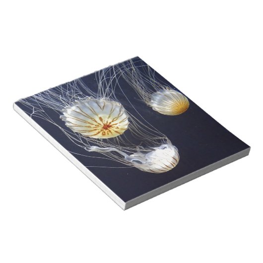 くらげ ノートパッド (アングル)