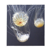 くらげ ノートパッド (正面)