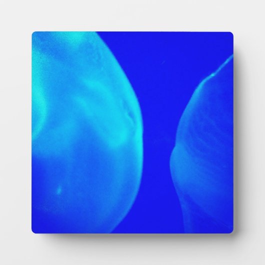 くらげ フォトプラーク (正面)