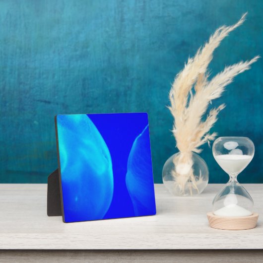 くらげ フォトプラーク (インサイチュ)