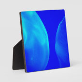 くらげ フォトプラーク (正面)