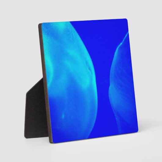 くらげ フォトプラーク (正面)