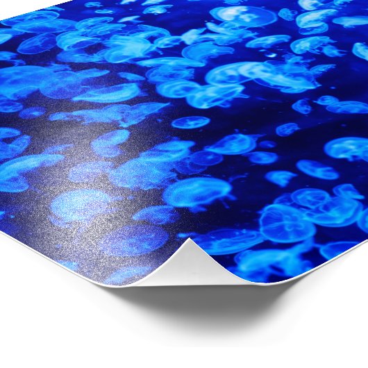 くらげ フォトプリント            (角)