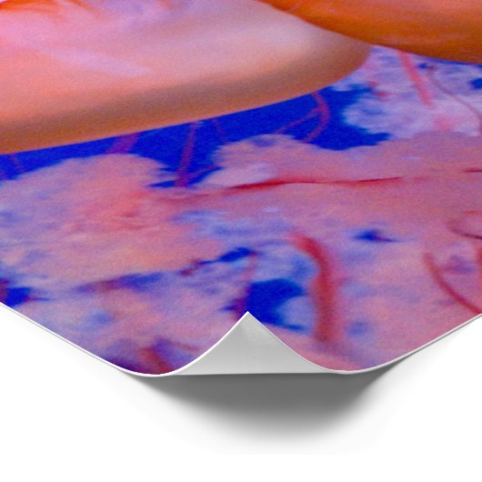 くらげ ポスター (角)