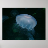 くらげ ポスター (正面)