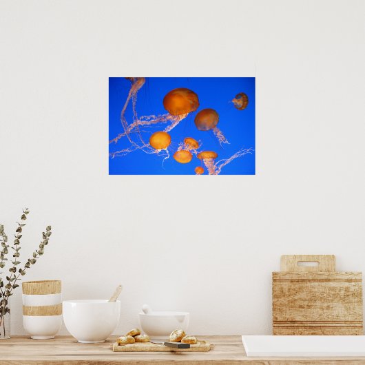 くらげ ポスター (キッチン)