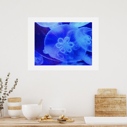 くらげ ポスター (キッチン)