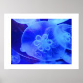 くらげ ポスター (正面)