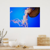 くらげ ポスター (キッチン)