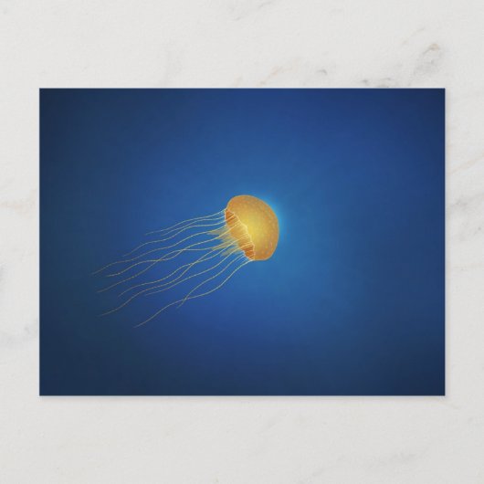 くらげ ポストカード (正面)