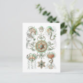 くらげ ポストカード (スタンド正面)