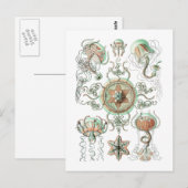 くらげ ポストカード (正面/裏面)