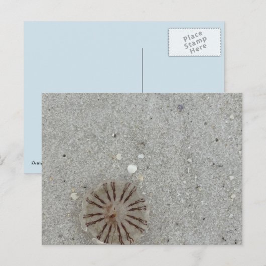 くらげ ポストカード (正面/裏面)