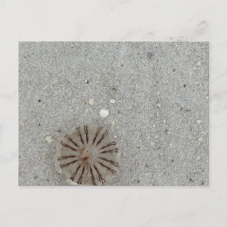 くらげ ポストカード