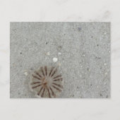 くらげ ポストカード (正面)