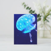 くらげ ポストカード (スタンド正面)