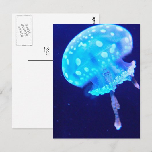 くらげ ポストカード (正面/裏面)