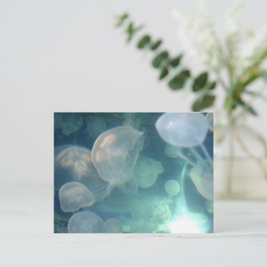 くらげ ポストカード (スタンド正面)