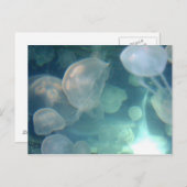 くらげ ポストカード (正面/裏面)