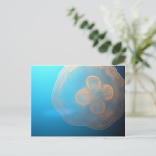 くらげ ポストカード (スタンド正面)