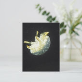 くらげ ポストカード (スタンド正面)