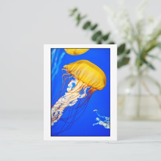 くらげ ポストカード (スタンド正面)