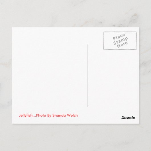 くらげ ポストカード (裏面)