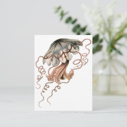 くらげ ポストカード (スタンド正面)